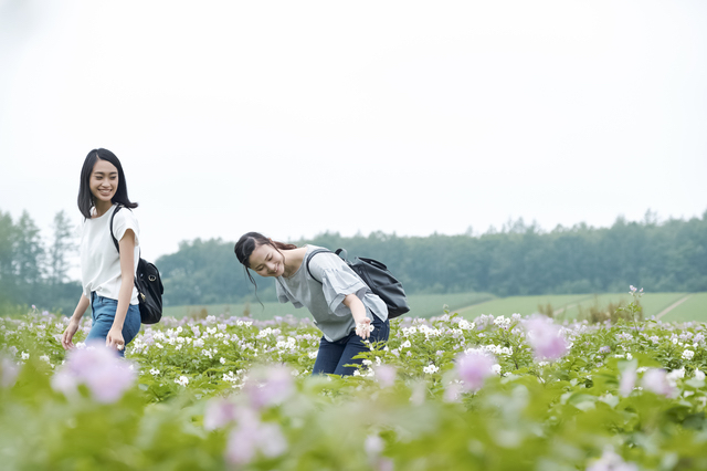 人を連れて行っても、大体満足してもらえる