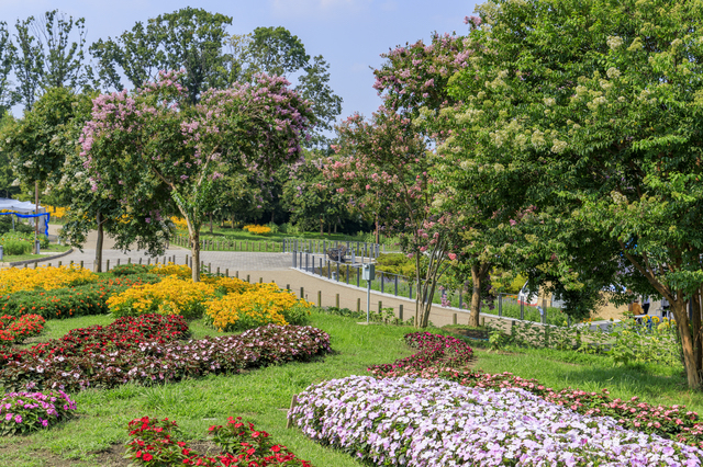 久留米百年公園