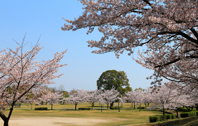 落合公園