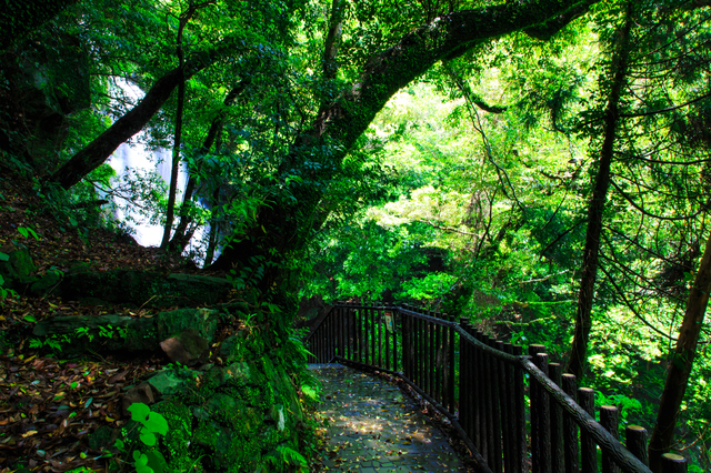 佐世保・潜竜ヶ滝公園を歩く