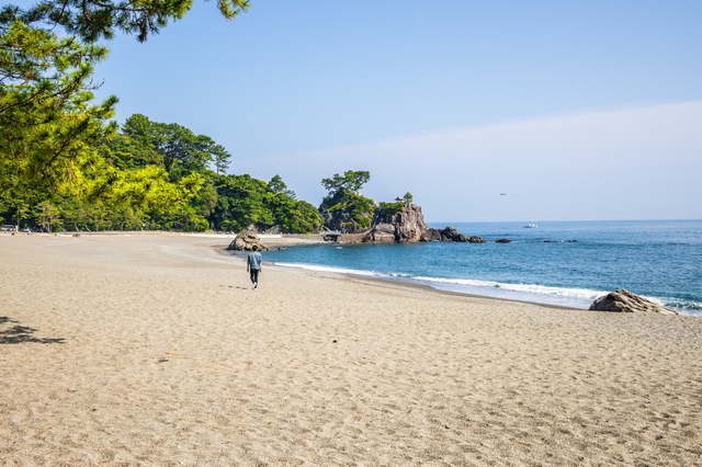 歴史スポット・桂浜