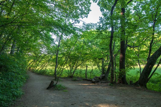 公園のように整備されて