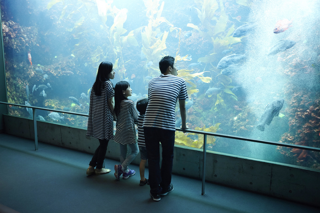 水族館