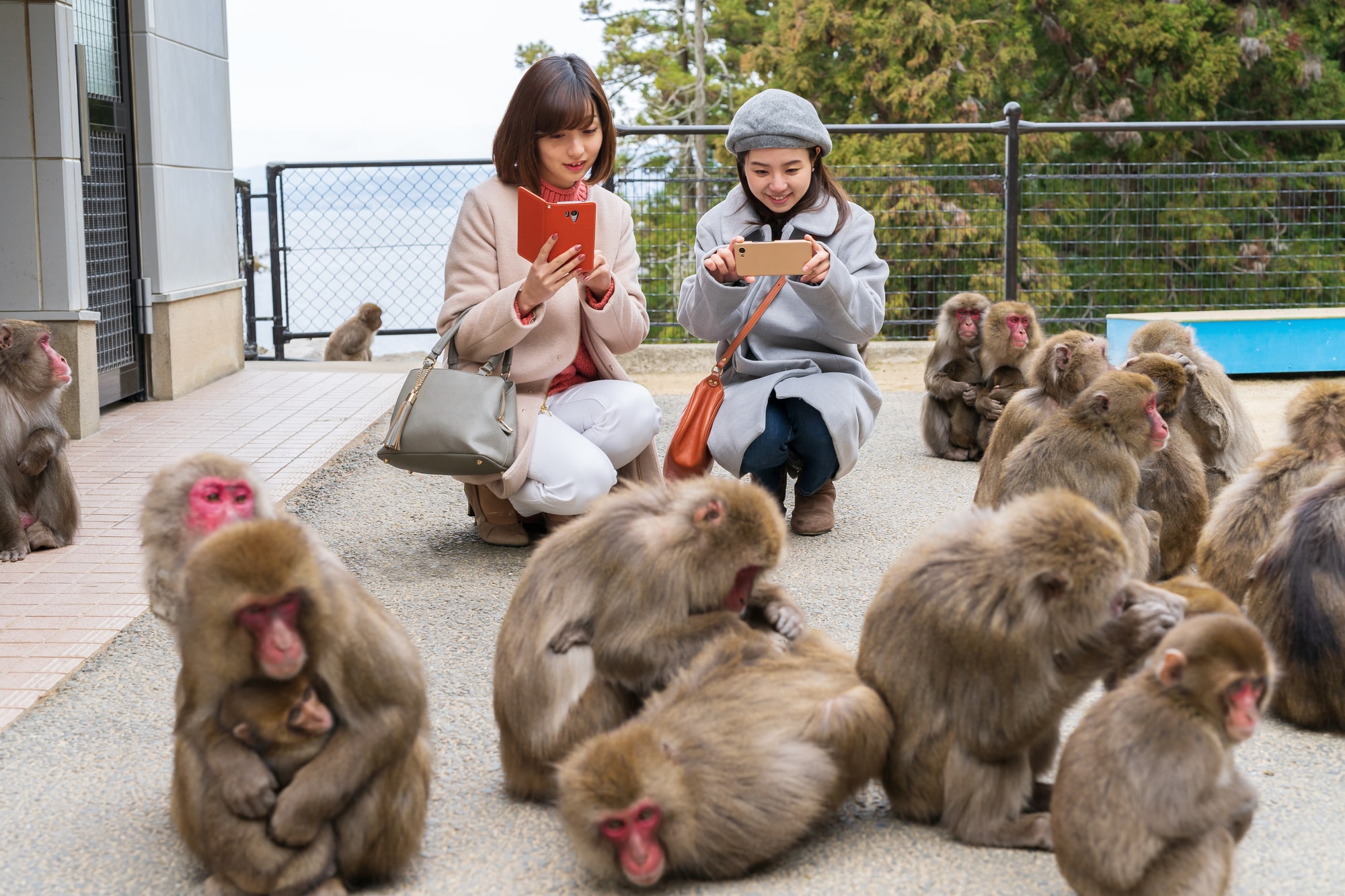 動物園