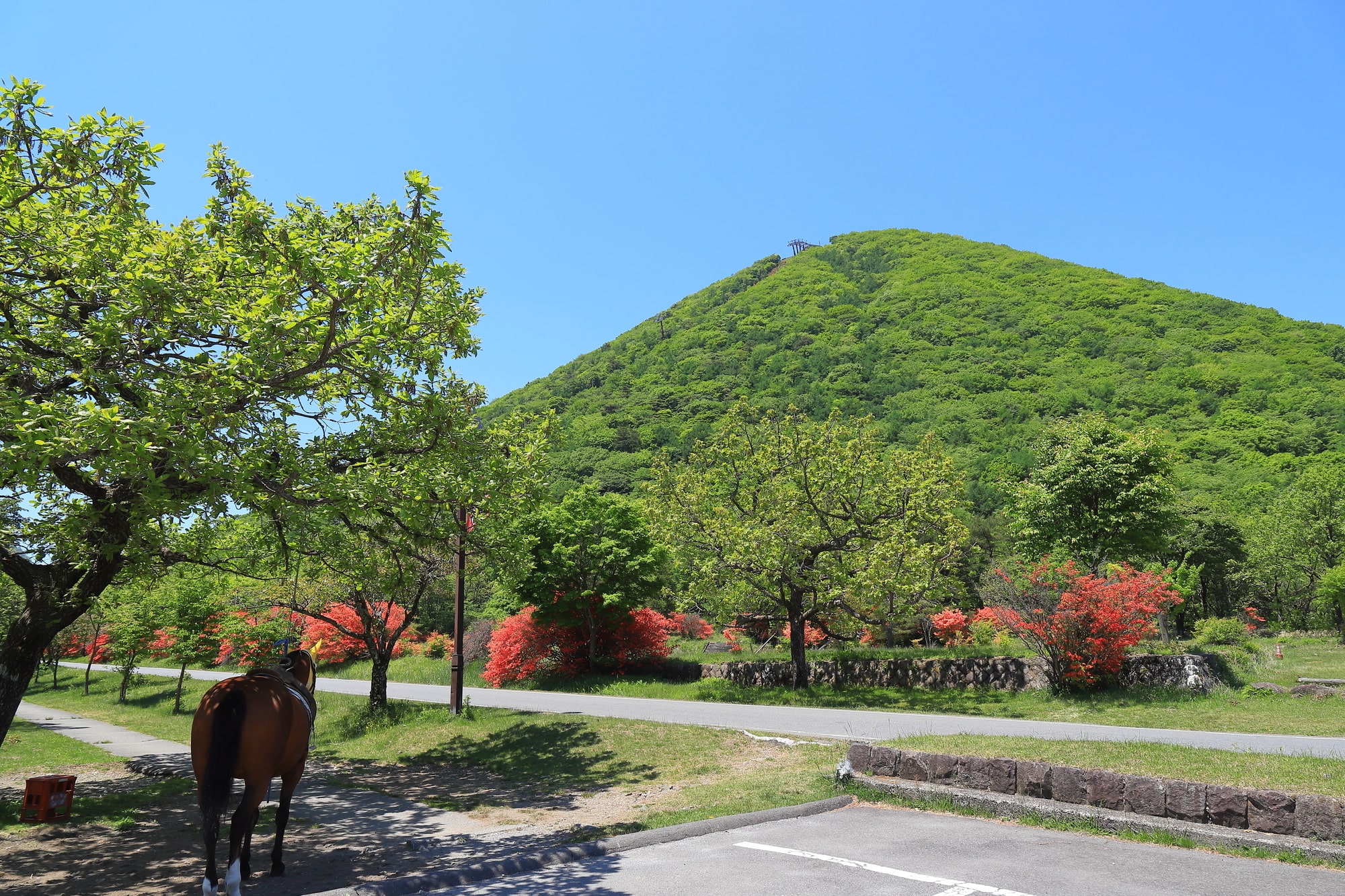 やっぱり山に登って