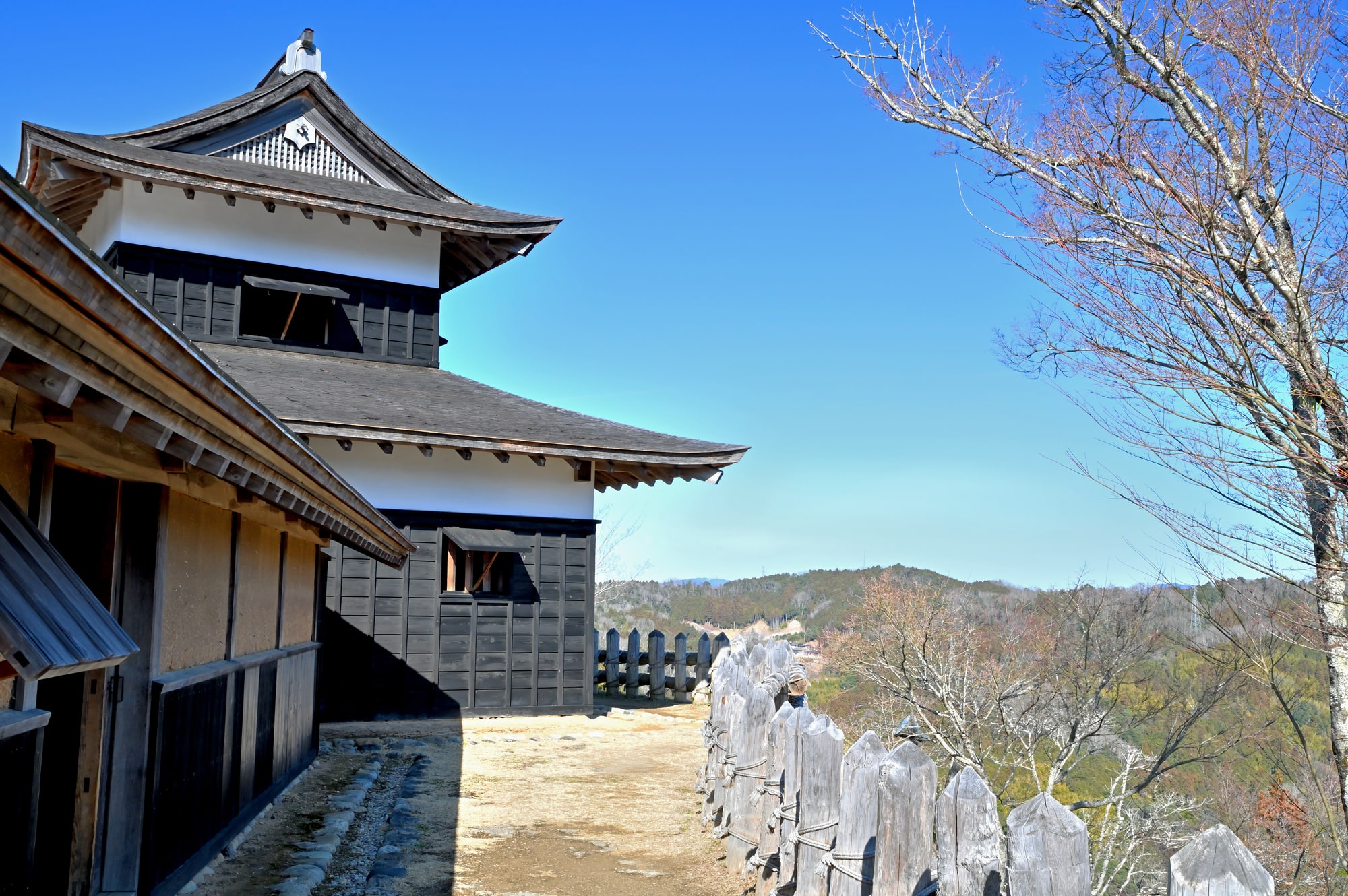 豊田も戦国時代の激戦を見つめ続けた地域