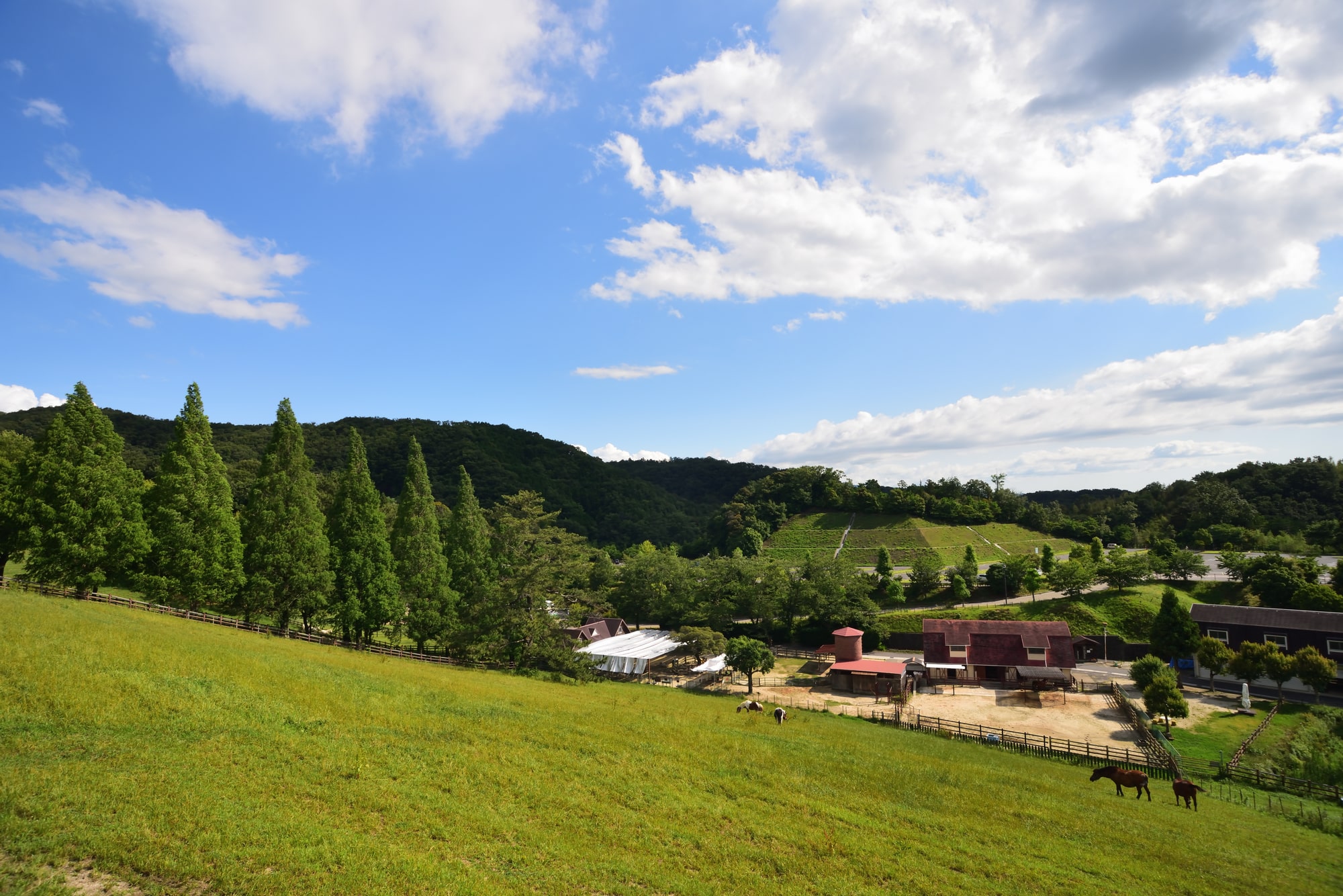 鞍ヶ池公園