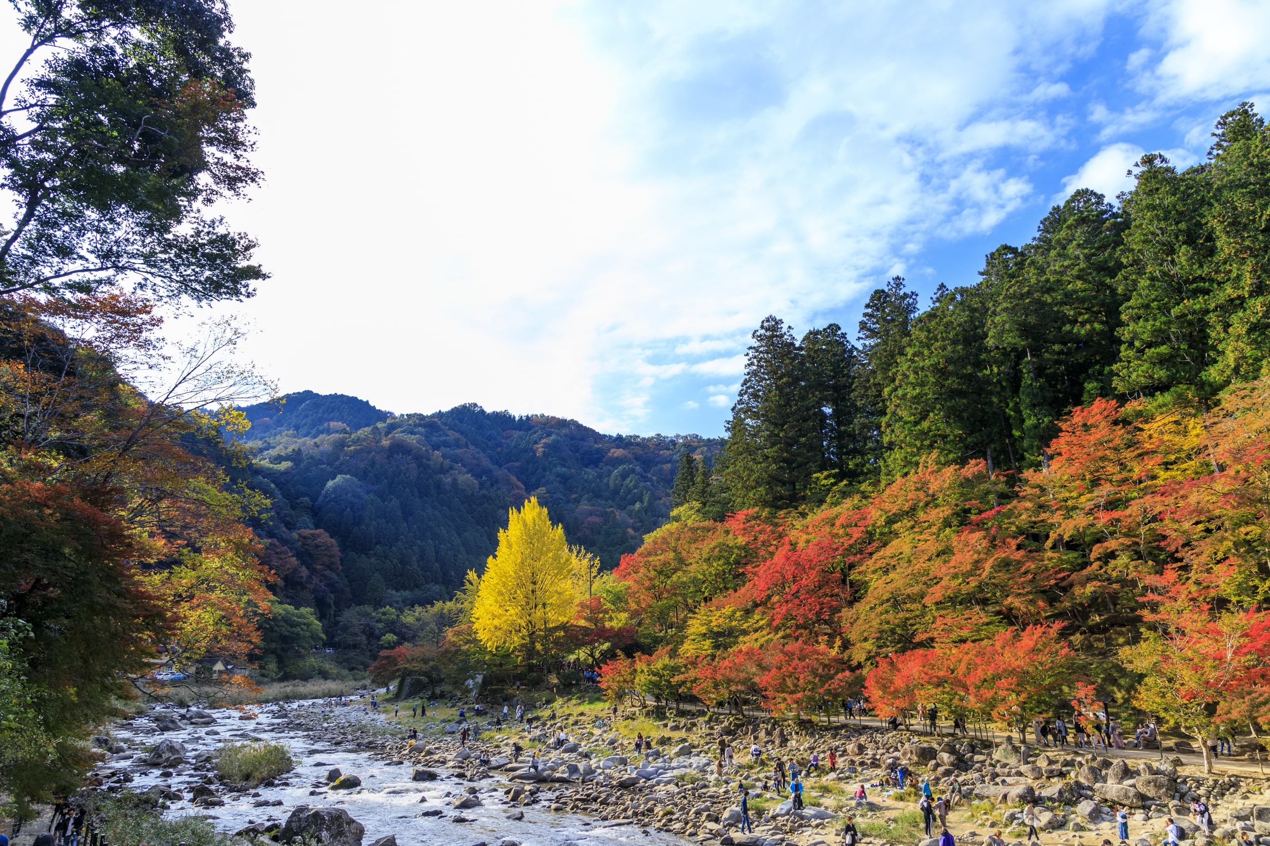 実はほとんどが山