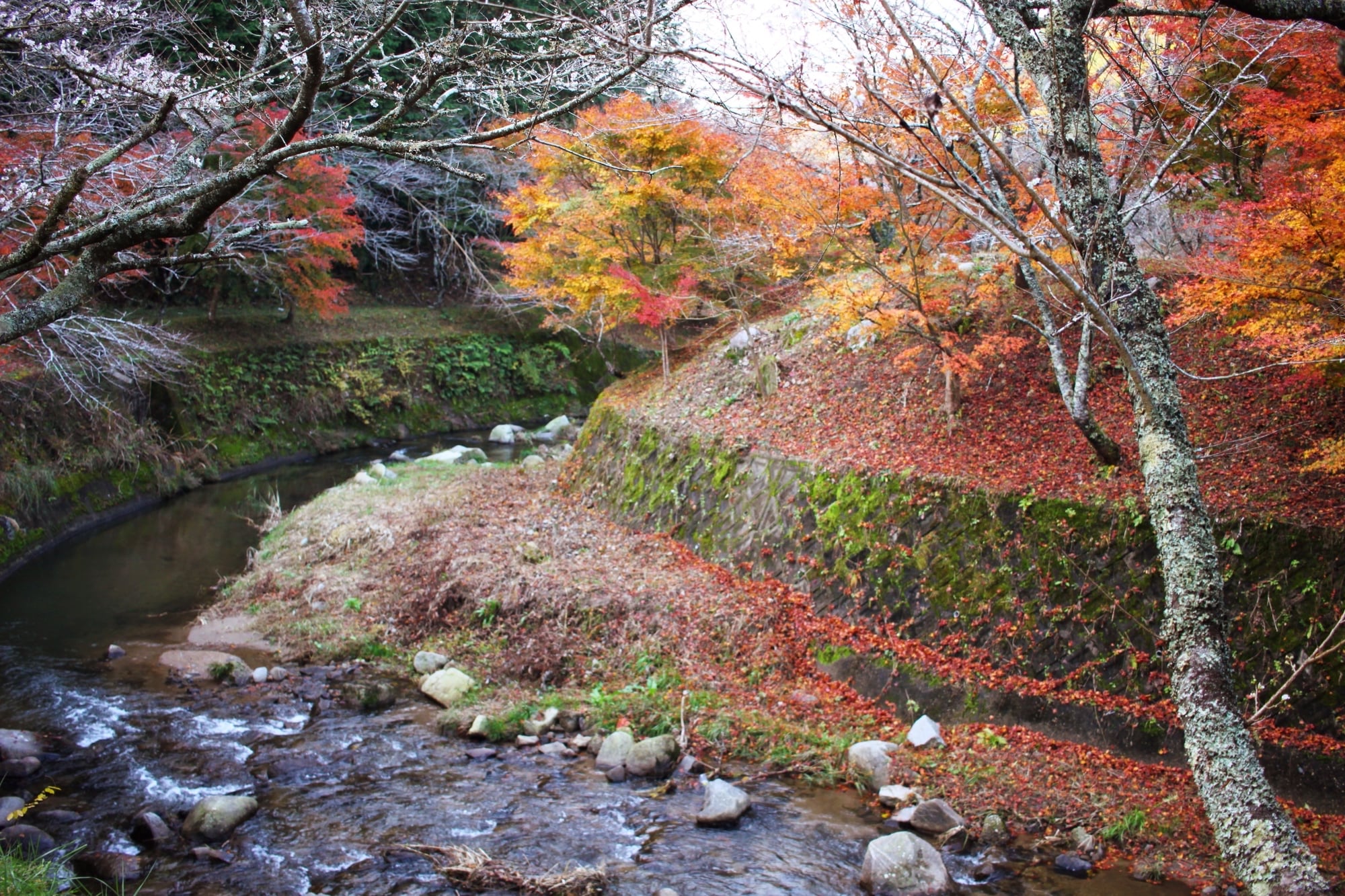 秘境っぽいイメージがわく