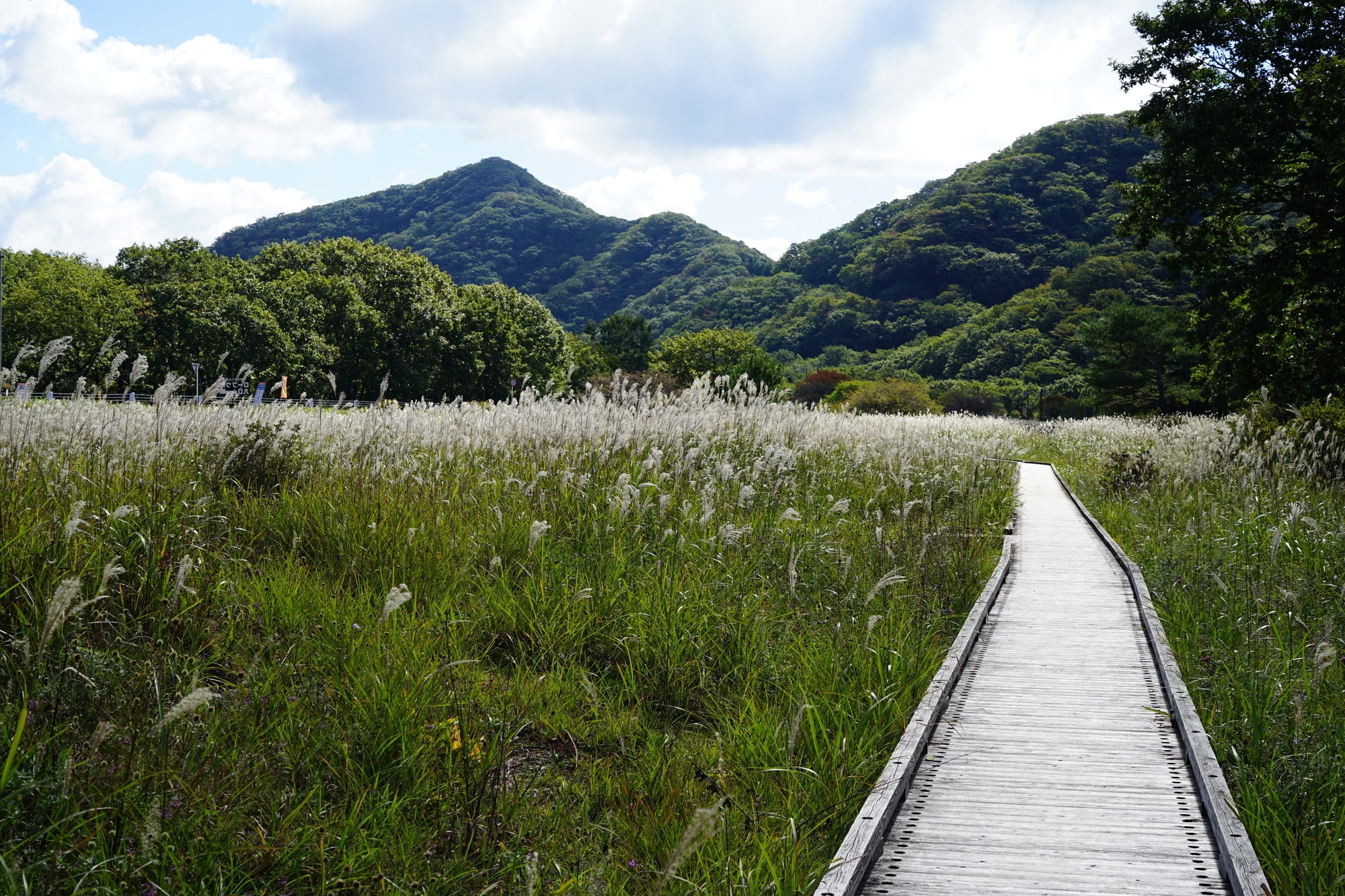 榛名山というのは、高崎市にある上毛三山の1つ