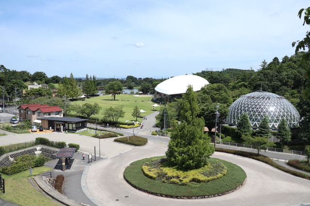 鞍ケ池公園（豊田）