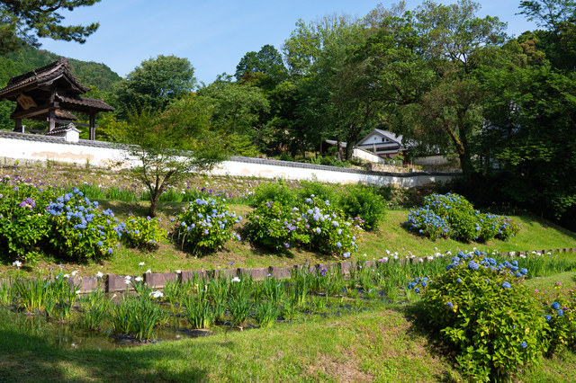 初夏の松平東照宮