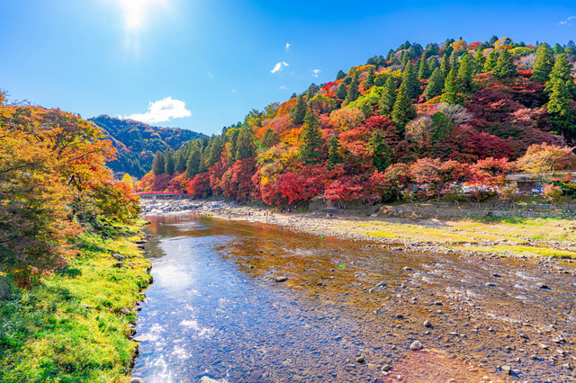 紅葉の香嵐渓（豊田）