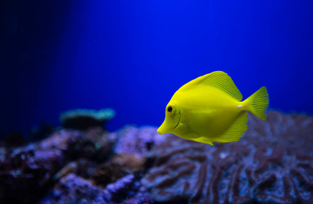 浅虫水族館