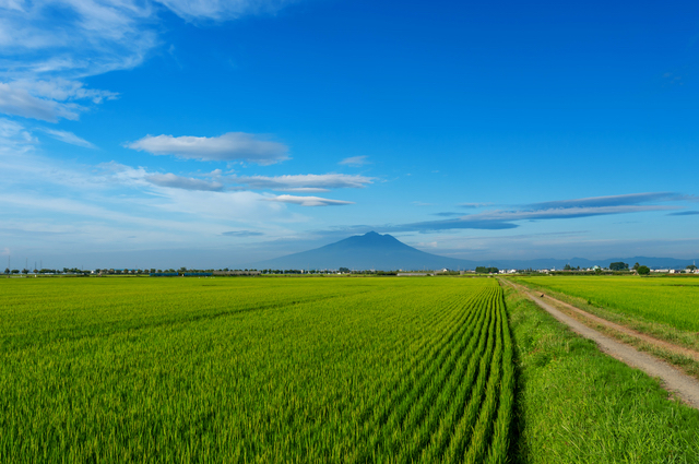 家族もいなかったので、青森に行こう