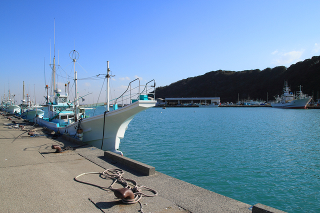 「富浦港」は最近よく訪れるようになった釣りスポット