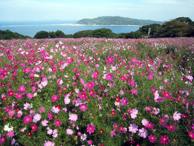 季節の花々が迎えてくれる