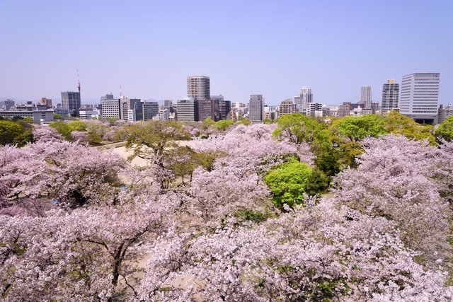 舞鶴公園