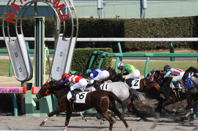 中山競馬場