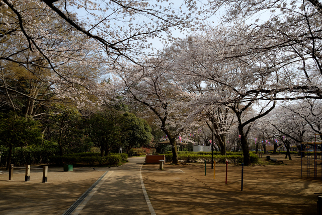 御滝公園