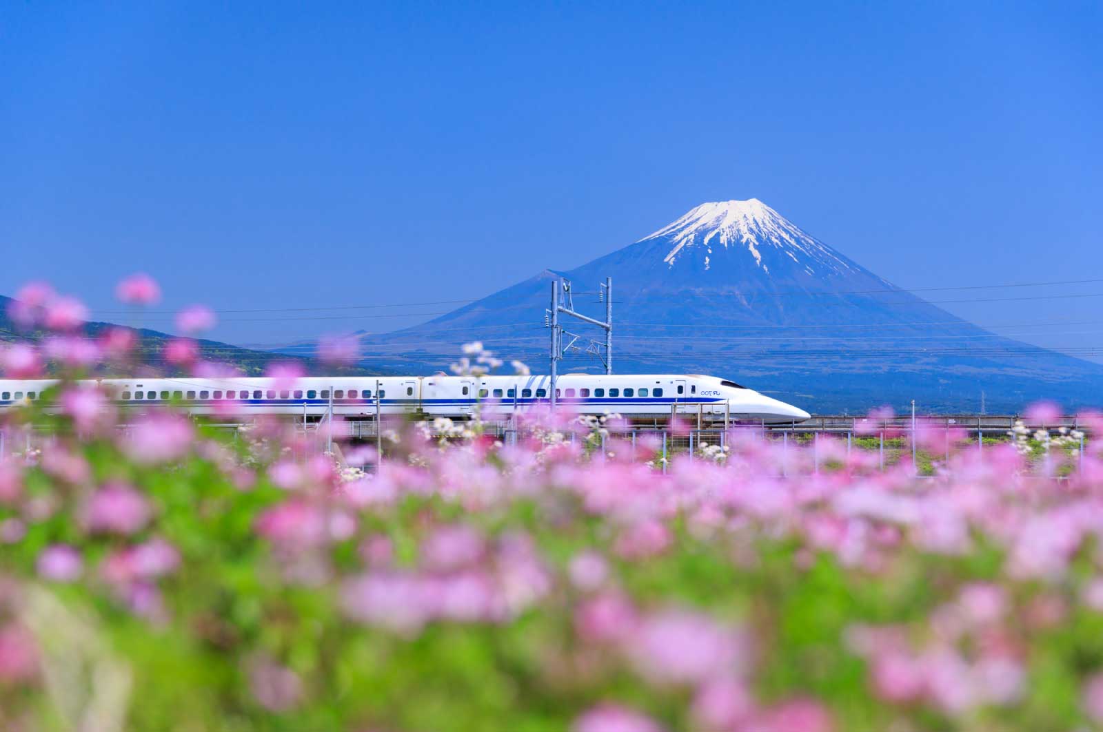 一人旅