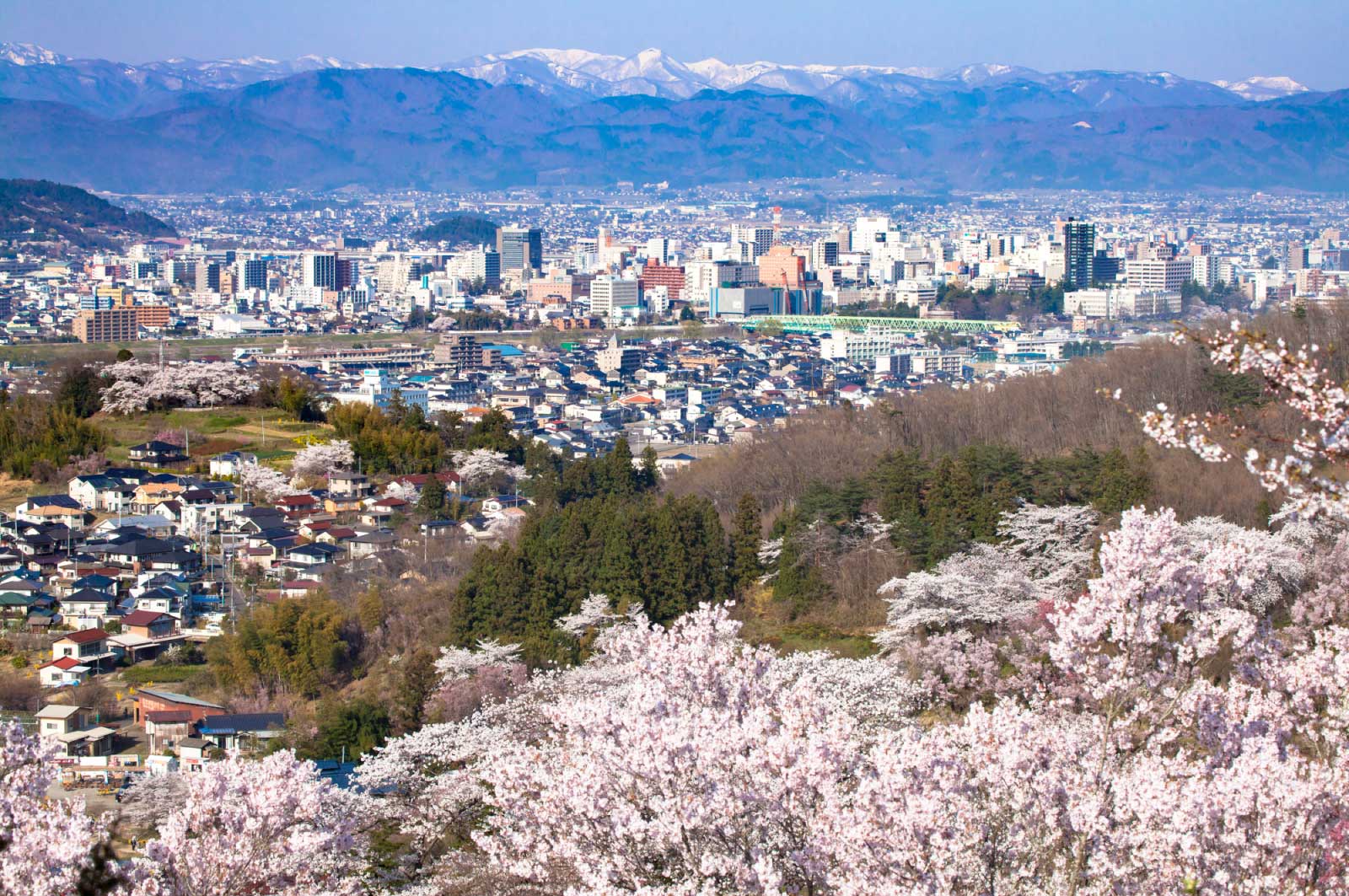 福島市に行ってきました