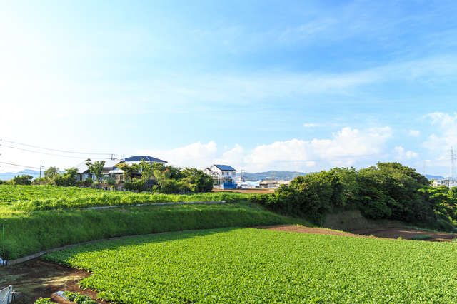 福岡県大野城市