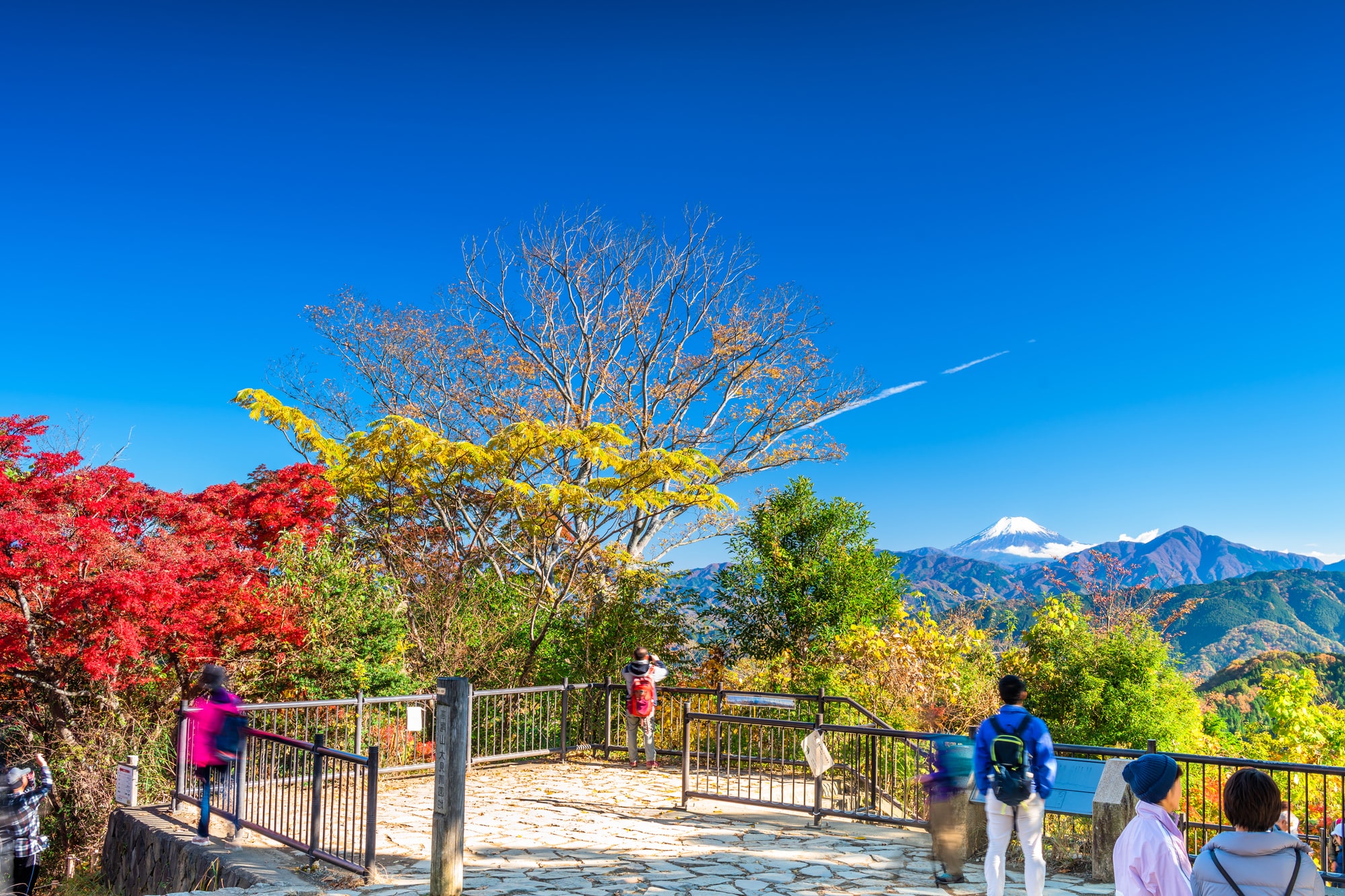 高尾山