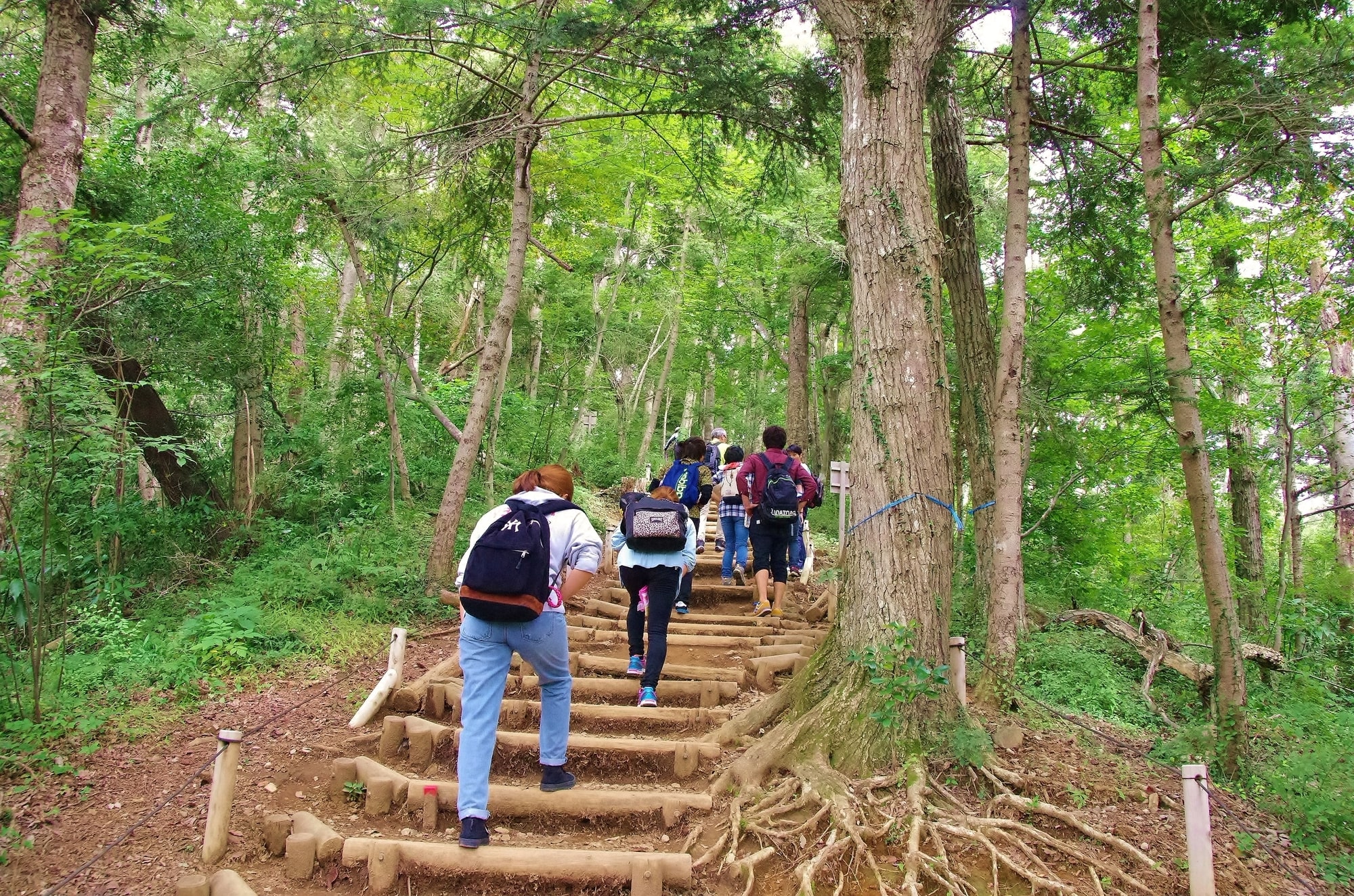 高尾山って有名な山