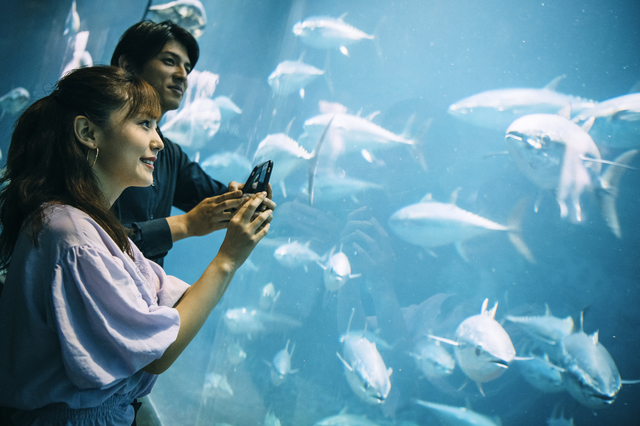 姫路市立水族館