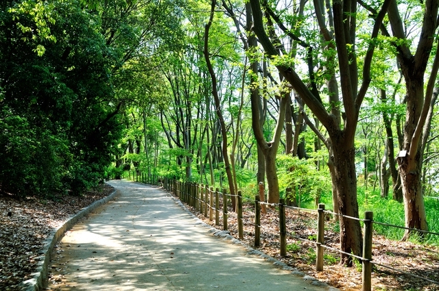 昆陽池公園