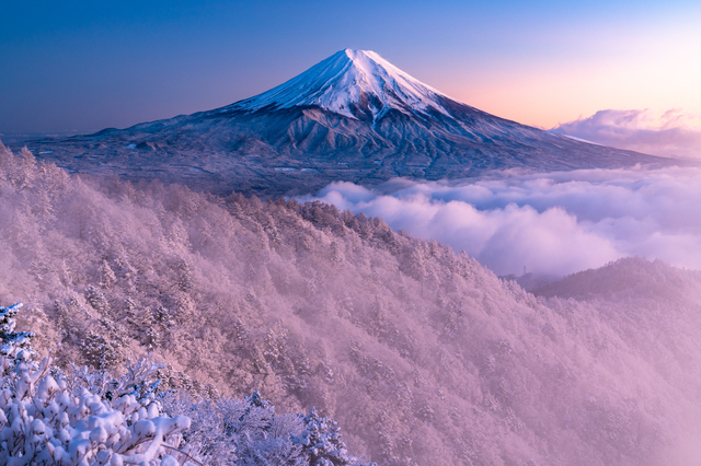 雪景色