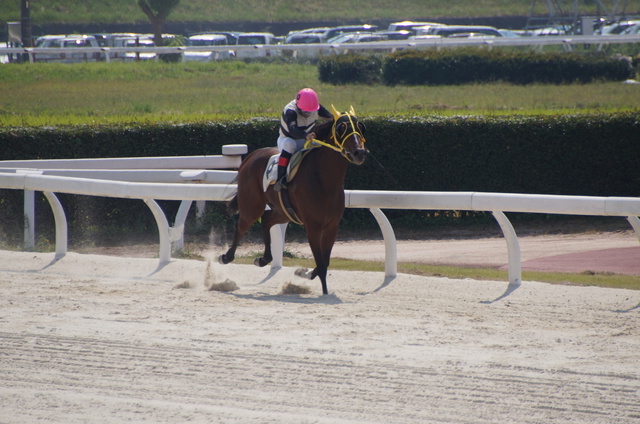 川崎競馬場