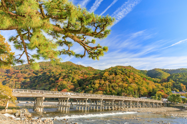 渡月橋