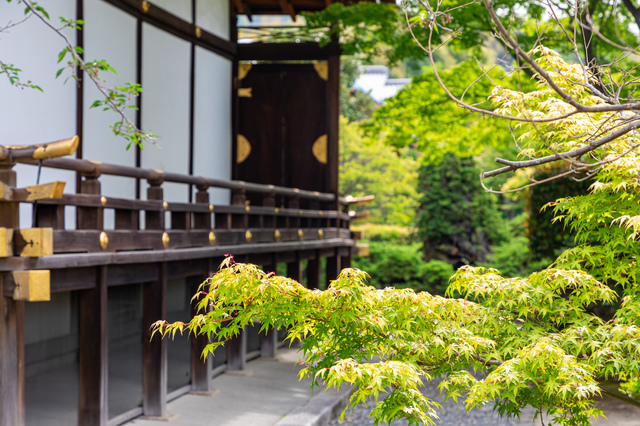 立派な池や木などに囲まれた風格あるお寺