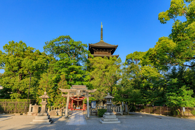 夏休み中もいくつかのお寺に行きました