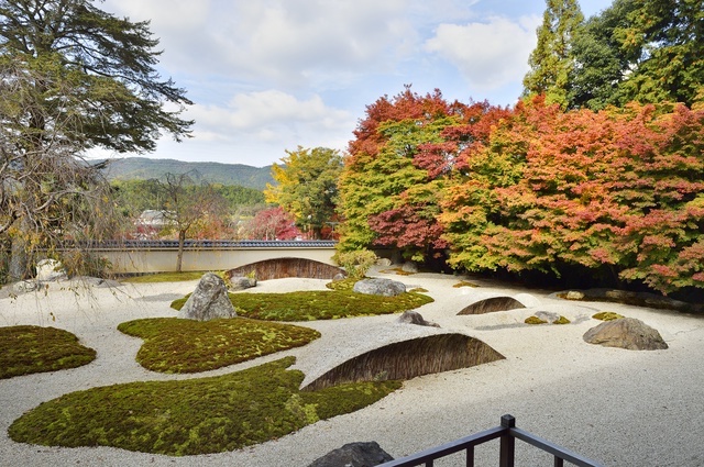 紅葉が本格化