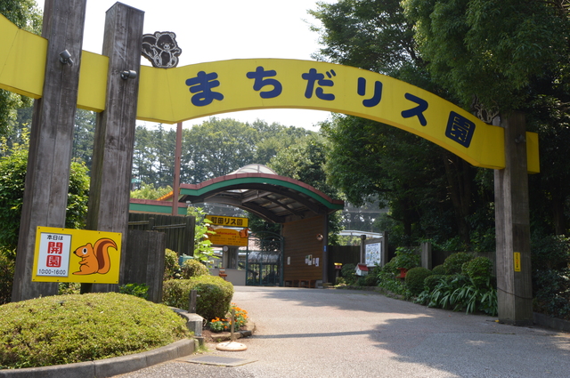 町田リス園