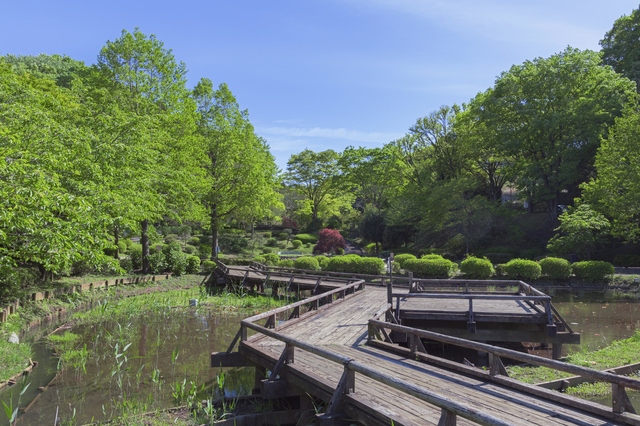 薬師池公園