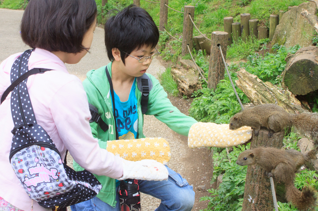 触ることもできる