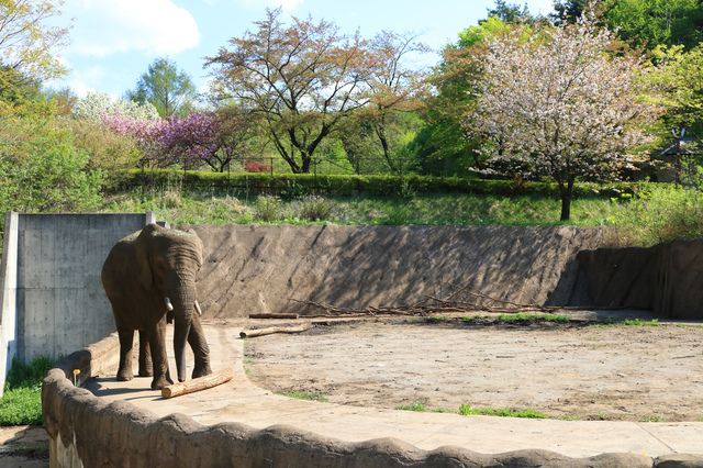 盛岡市動物公園