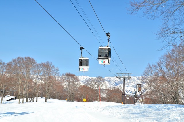 老舗の野沢温泉スキー場