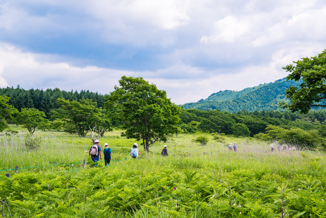 標高が1,600mを超えているので涼しく過ごしやすい