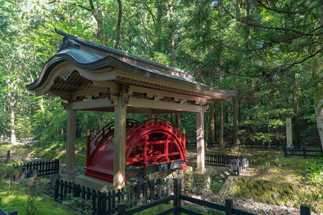 新潟を代表する神社＆パワースポット