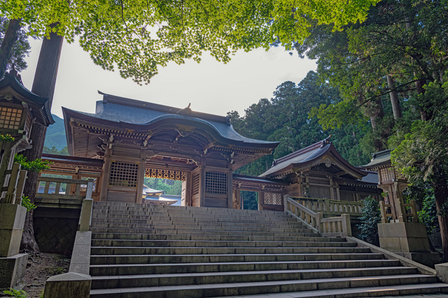 弥彦神社