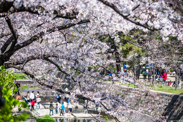 夙川公園