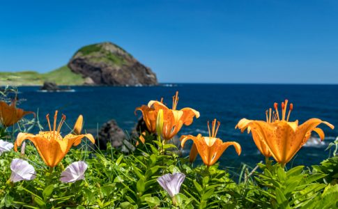 自然がいっぱいの島