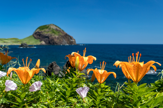 自然がいっぱいの島