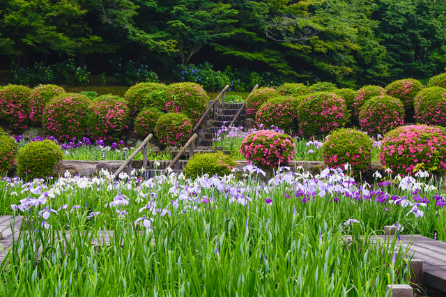 東公園