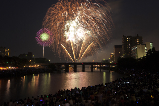 岡崎城下家康公夏まつり花火大会